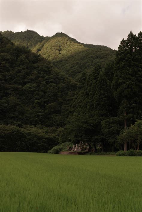 墓地 画像|山間にひっそり佇む墓地｜フリー素材のぱくた